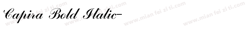Capira Bold Italic字体转换
